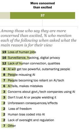 Pew Research Center: Loss of Human Jobs